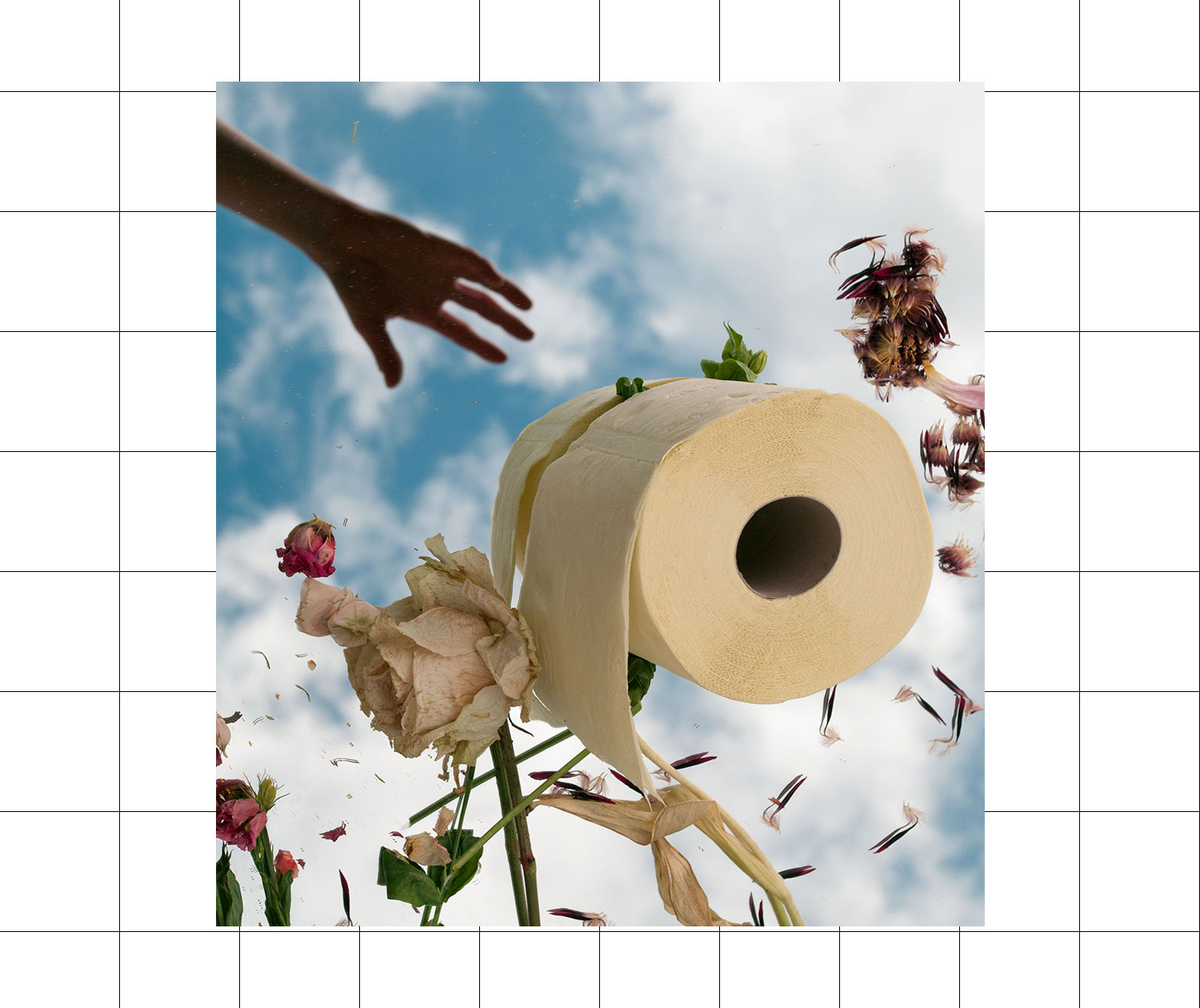 Arty montage with a hand reaching for a roll of toilet paper, based in a field of petals and leaves